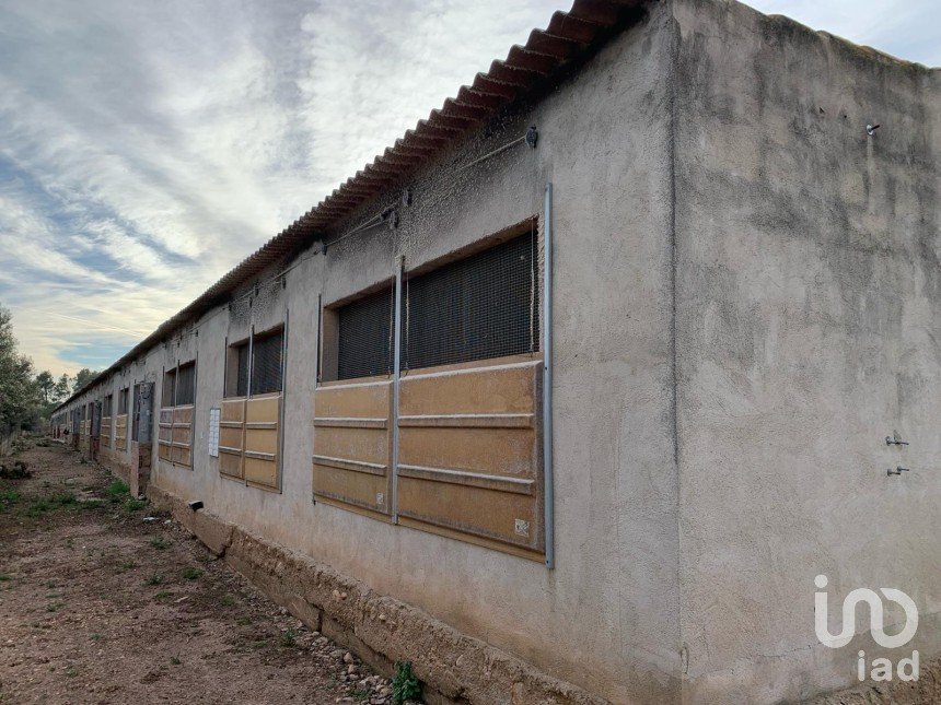 Terrain de 18 627 m² à Mas de Barberans (43514)