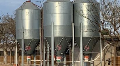 Land of 18,627 m² in Mas de Barberans (43514)