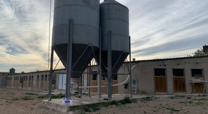 Land of 18,627 m² in Mas de Barberans (43514)