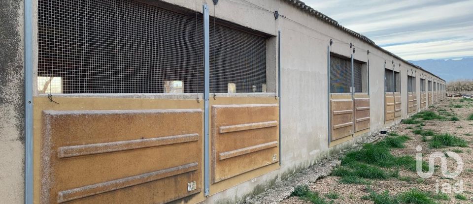 Terrain de 18 627 m² à Mas de Barberans (43514)