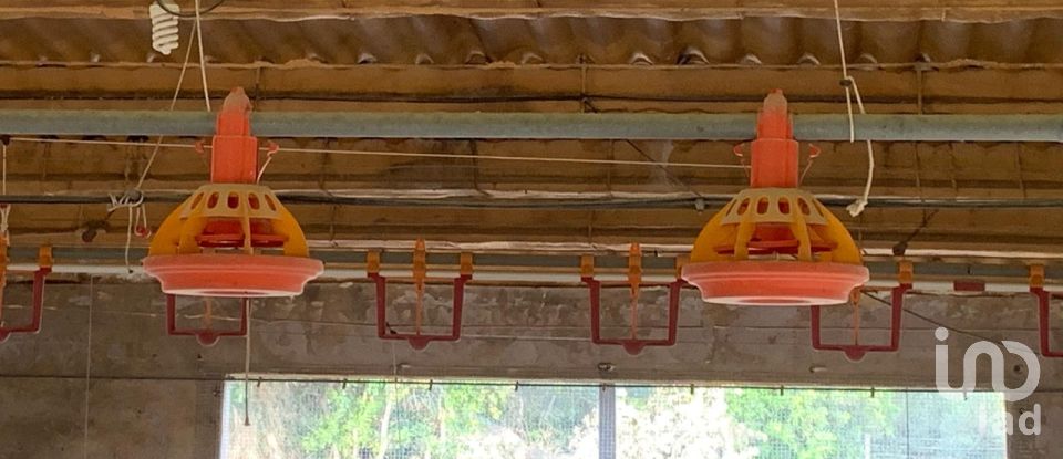 Terrain de 18 627 m² à Mas de Barberans (43514)