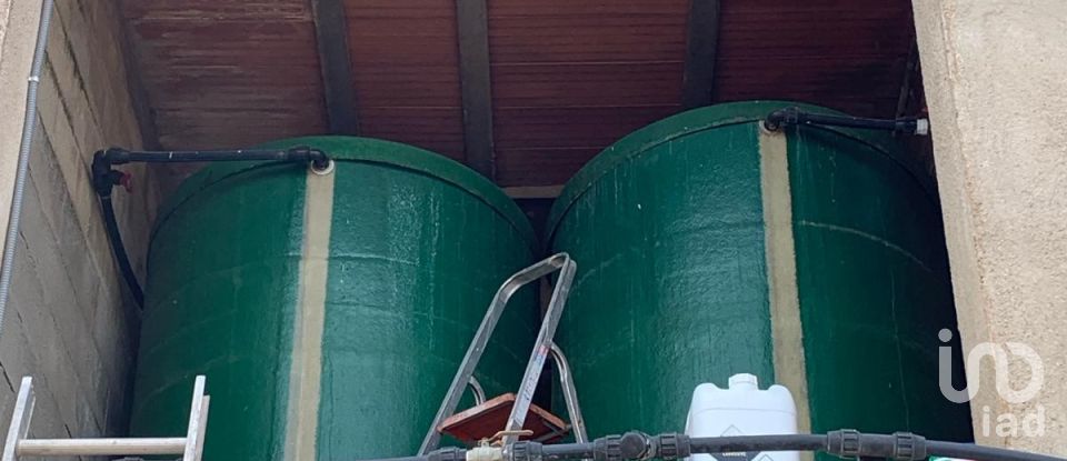 Terrain de 18 627 m² à Mas de Barberans (43514)