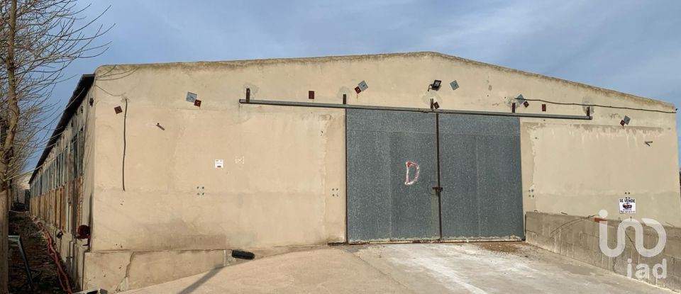 Terrain de 18 627 m² à Mas de Barberans (43514)