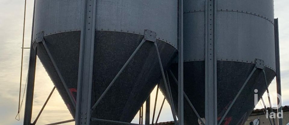 Terrain de 18 627 m² à Mas de Barberans (43514)