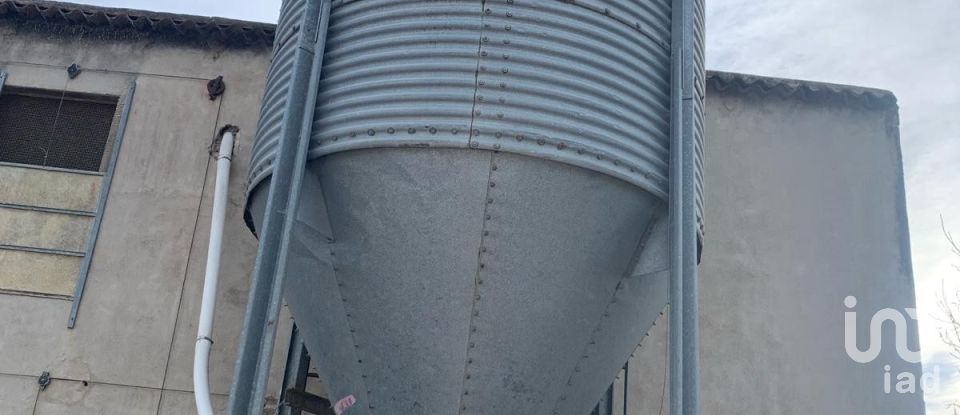 Terrain de 18 627 m² à Mas de Barberans (43514)