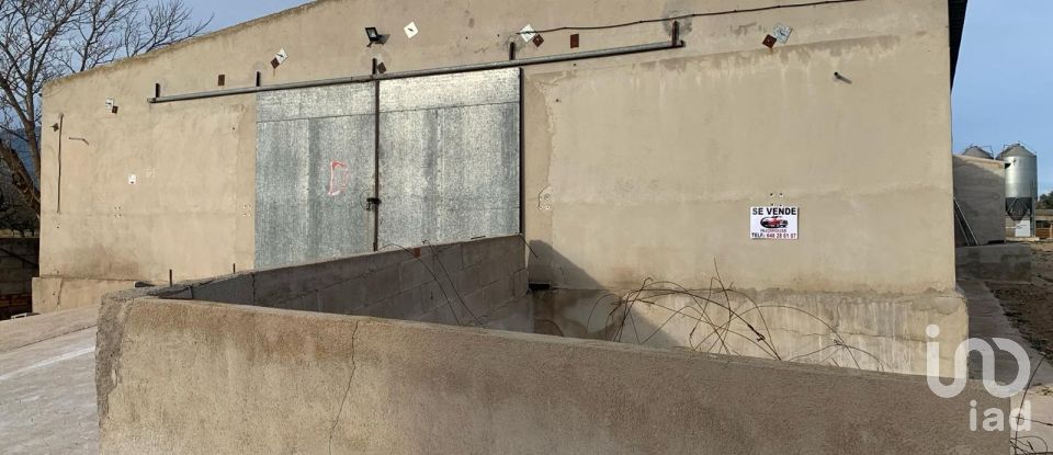 Terrain de 18 627 m² à Mas de Barberans (43514)