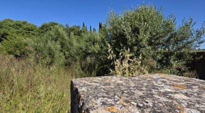 Building plot of 203 m² in Muro (07440)