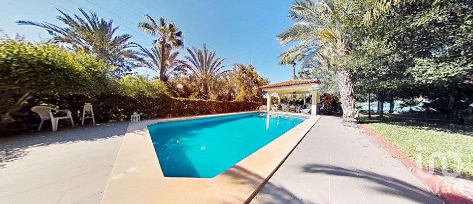 Cottage 5 bedrooms of 397 m² in Elx/Elche (03296)