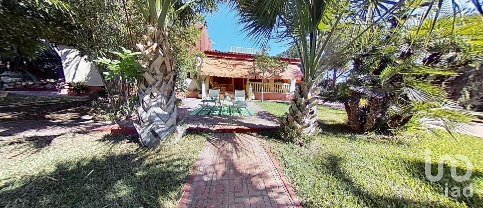 Cottage 5 bedrooms of 397 m² in Elx/Elche (03296)