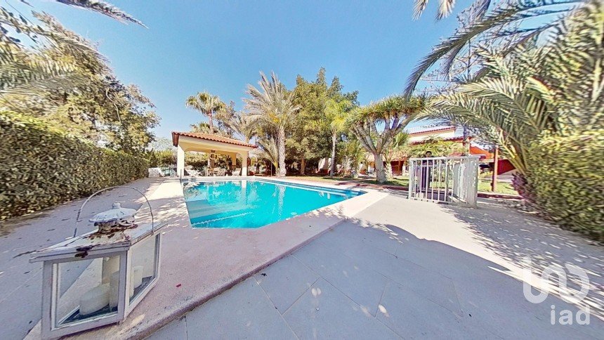 Cottage 5 bedrooms of 397 m² in Elx/Elche (03296)