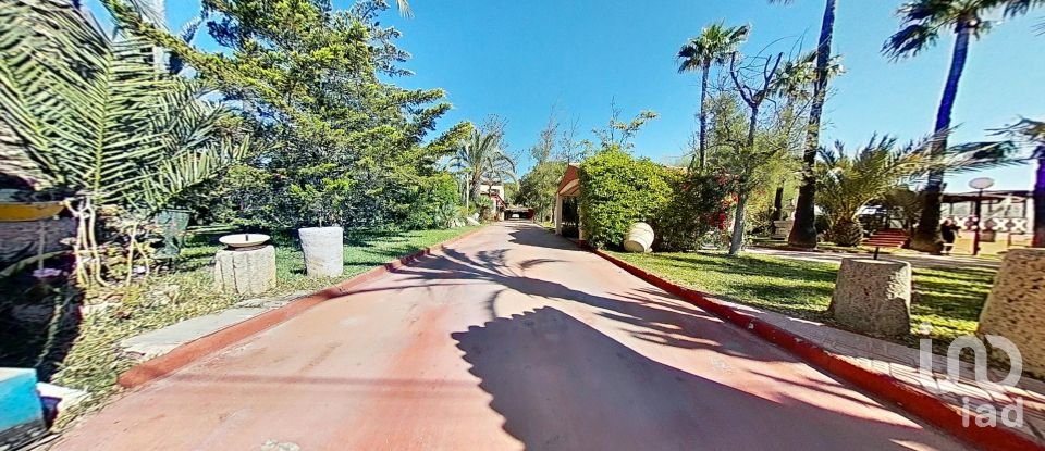 Cottage 5 bedrooms of 397 m² in Elx/Elche (03296)