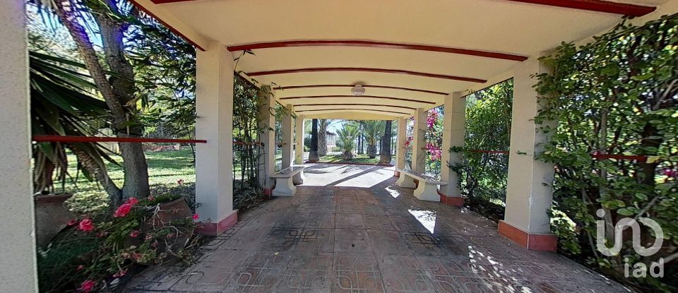 Cottage 5 bedrooms of 397 m² in Elx/Elche (03296)