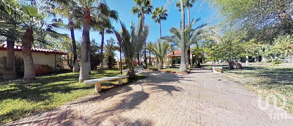 Cottage 5 bedrooms of 397 m² in Elx/Elche (03296)