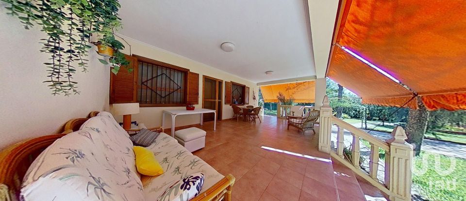 Cottage 5 bedrooms of 397 m² in Elx/Elche (03296)