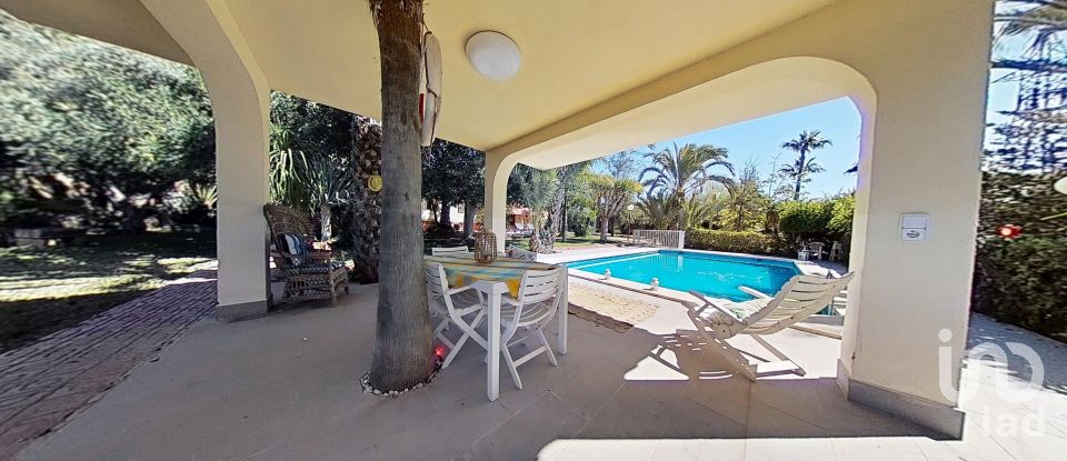 Cottage 5 bedrooms of 397 m² in Elx/Elche (03296)