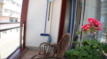 Apartment 2 bedrooms of 60 m² in Guardamar del Segura (03140)