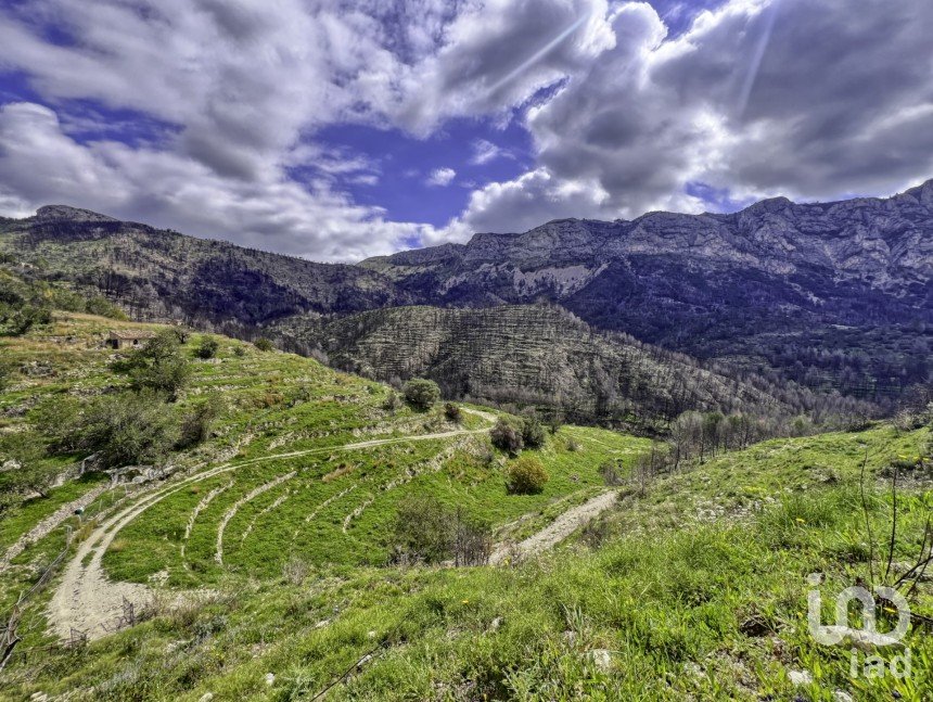 Terreno urbano de 41.000 m² en Tarbena (03518)