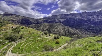 Building plot of 41,000 m² in Tarbena (03518)