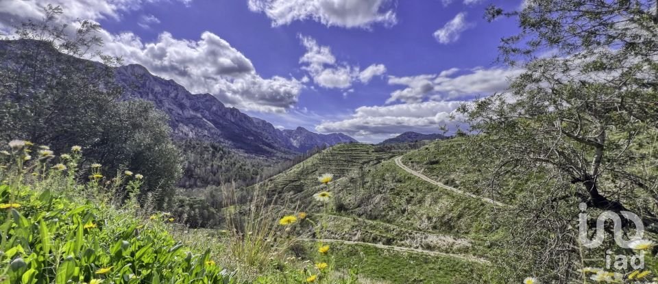 Terreno urbano de 41.000 m² en Tarbena (03518)