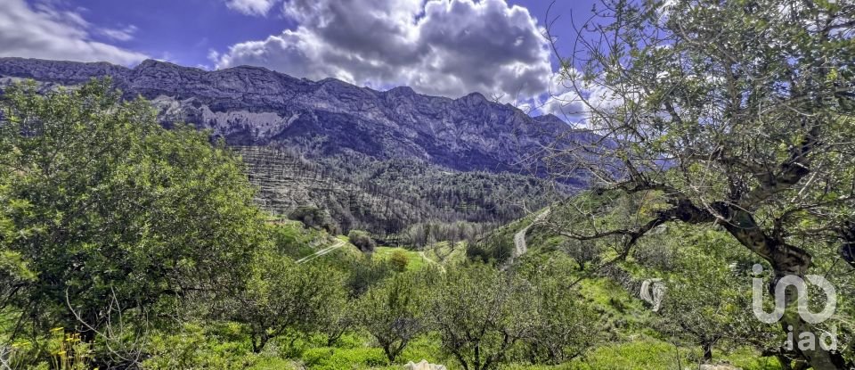 Terreno urbano de 41.000 m² en Tarbena (03518)