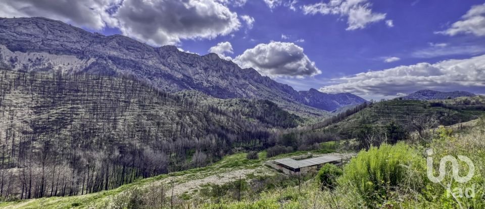 Terreno urbano de 41.000 m² en Tarbena (03518)