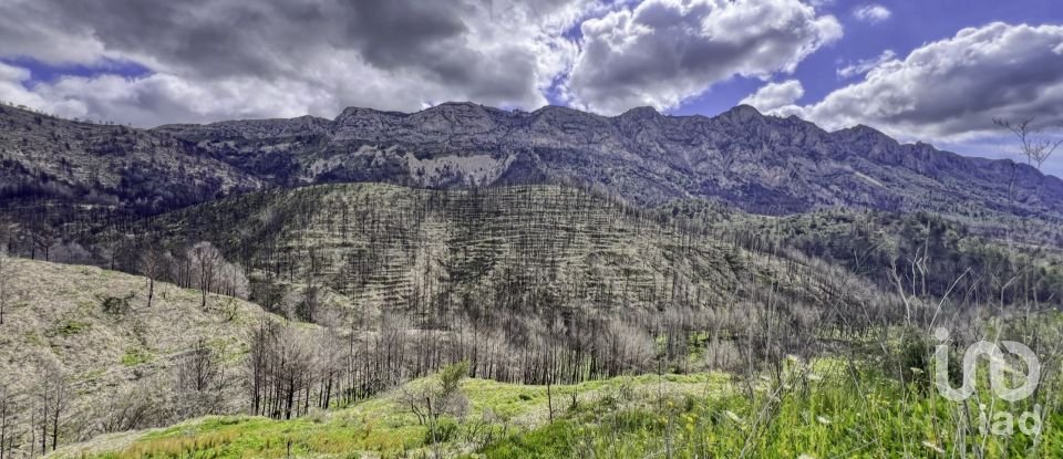 Terreno urbano de 41.000 m² en Tarbena (03518)
