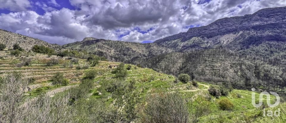 Terreno urbano de 41.000 m² en Tarbena (03518)