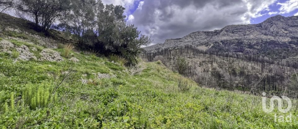 Terreno urbano de 41.000 m² en Tarbena (03518)