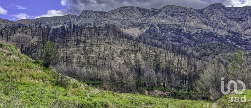 Terreno urbano de 41.000 m² en Tarbena (03518)