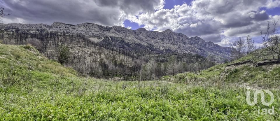 Terreno urbano de 41.000 m² en Tarbena (03518)