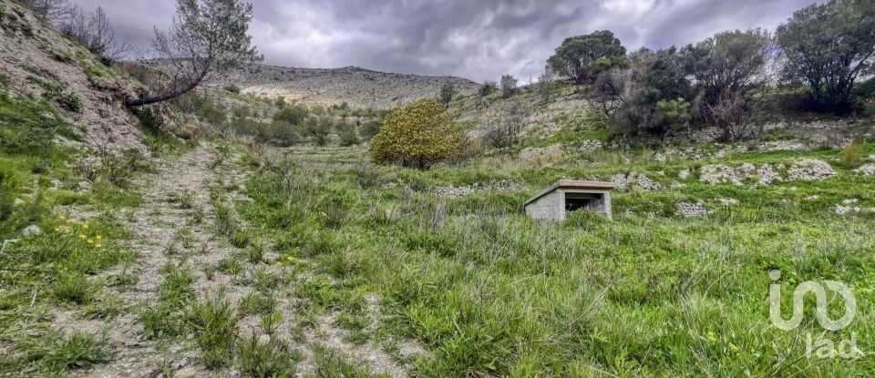 Terreno urbano de 41.000 m² en Tarbena (03518)