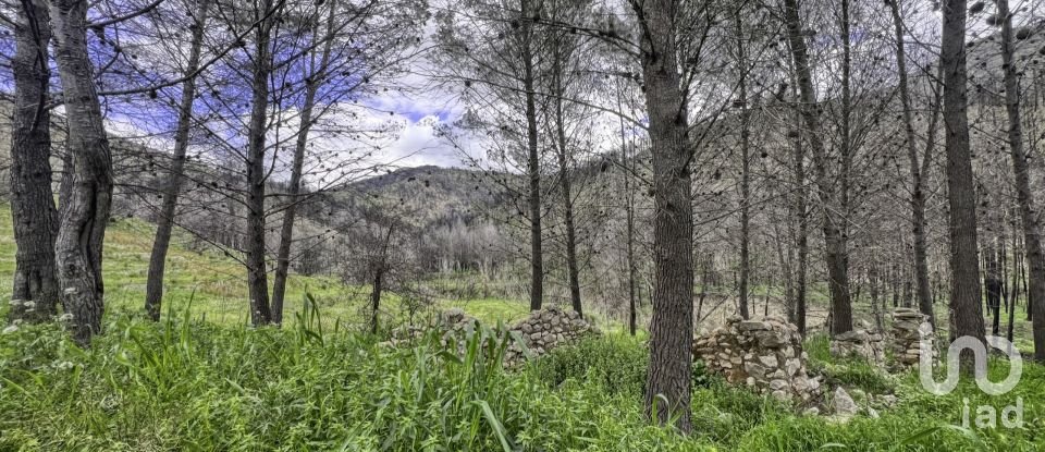 Terreno urbano de 41.000 m² en Tarbena (03518)