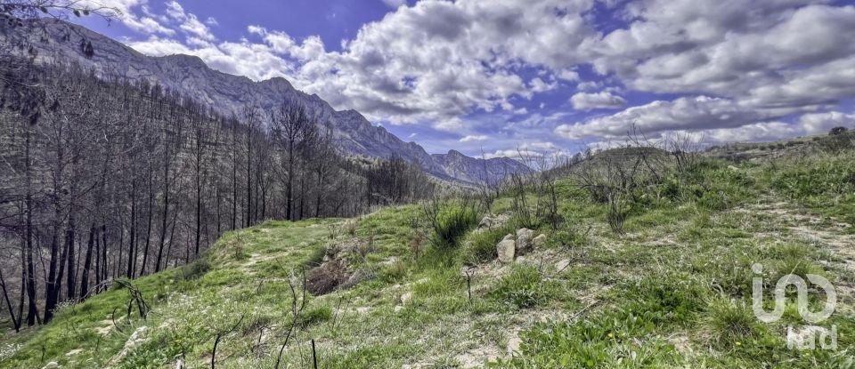 Terreno urbano de 41.000 m² en Tarbena (03518)