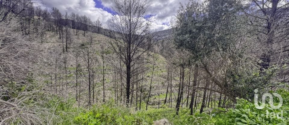 Terreno urbano de 41.000 m² en Tarbena (03518)