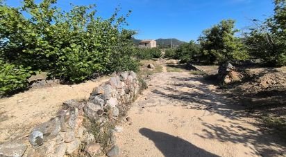 Land of 66,862 m² in Alforja (43365)