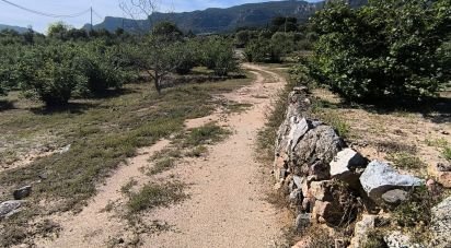 Terreno de 66.862 m² en Alforja (43365)