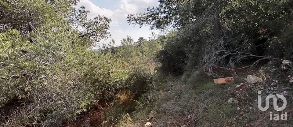 Terreno urbano de 1.801 m² en Cubelles (08880)