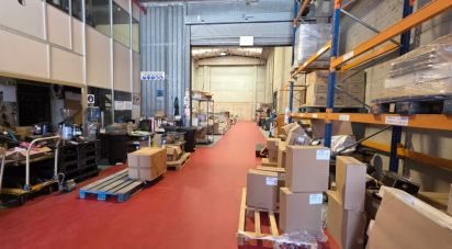 Paredes comerciales de 1.128 m² en Cervelló (08758)