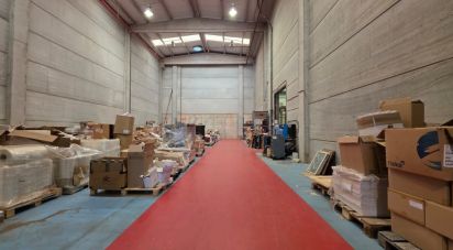 Paredes comerciales de 1.128 m² en Cervelló (08758)