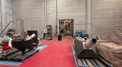 Paredes comerciales de 1.128 m² en Cervelló (08758)