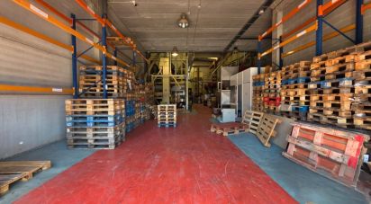 Paredes comerciales de 1.128 m² en Cervelló (08758)