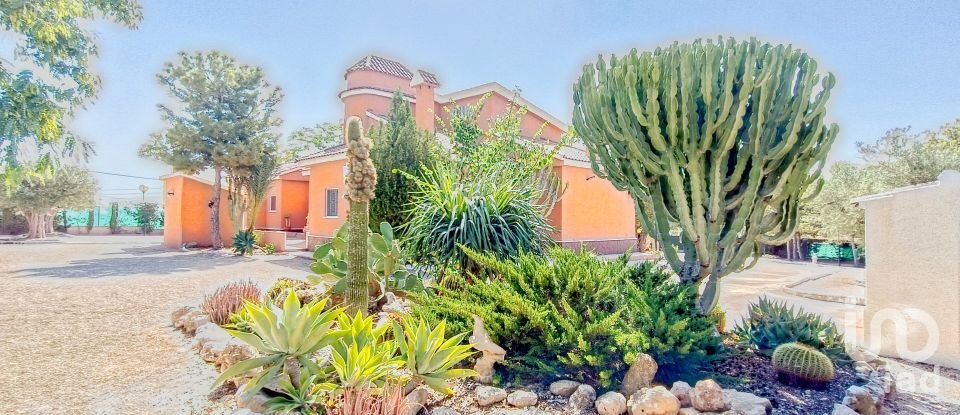 House 4 bedrooms of 317 m² in Elx/Elche (03296)