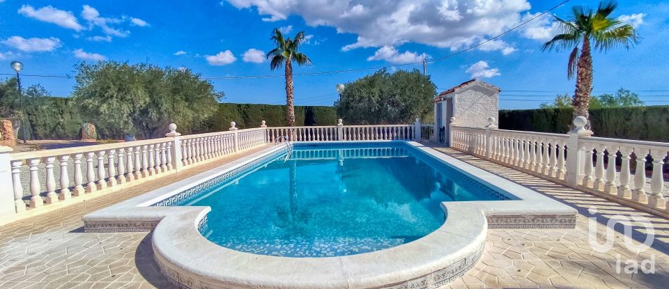 House 4 bedrooms of 317 m² in Elx/Elche (03296)