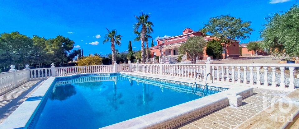 House 4 bedrooms of 317 m² in Elx/Elche (03296)