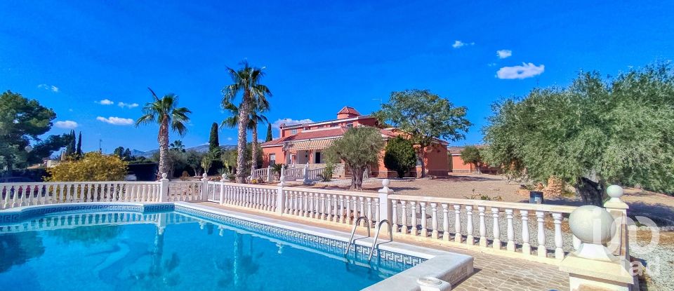 House 4 bedrooms of 317 m² in Elx/Elche (03296)
