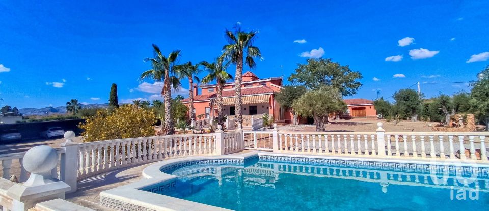 House 4 bedrooms of 317 m² in Elx/Elche (03296)