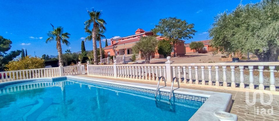 House 4 bedrooms of 317 m² in Elx/Elche (03296)