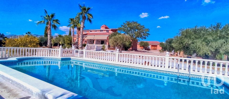 House 4 bedrooms of 317 m² in Elx/Elche (03296)