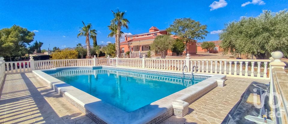 House 4 bedrooms of 317 m² in Elx/Elche (03296)