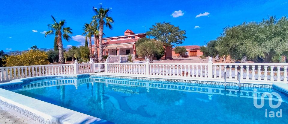 House 4 bedrooms of 317 m² in Elx/Elche (03296)